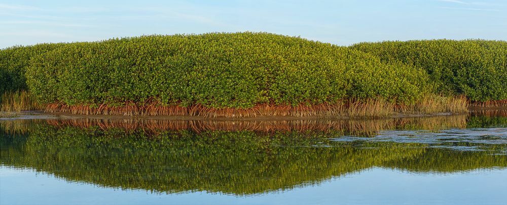 Click to See Next Image